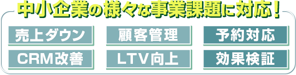 中小企業の様々な事業課題に対応。売上ダウン・顧客管理・予約対応・CRM改善・LTV向上・効果検証